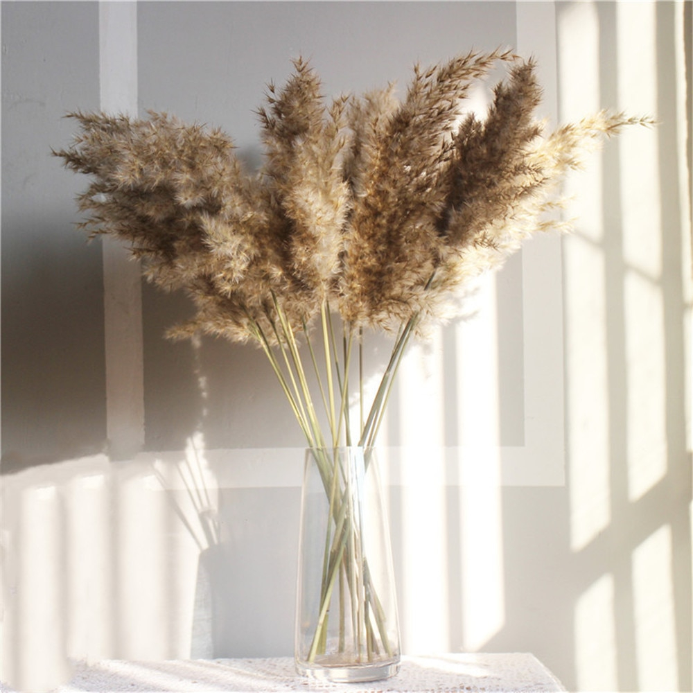Set of Natural Dried Pampas Grass Bunches